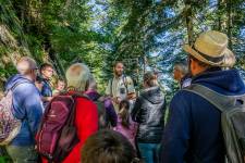 Nicolas BERNIE - STUDIO NB