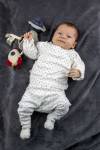 ALAIN DE SAINT-JORES - ADSJ PHOTOGRAPHE