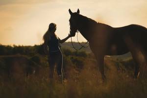 Aimen ASHUR - AIMEN ASHUR